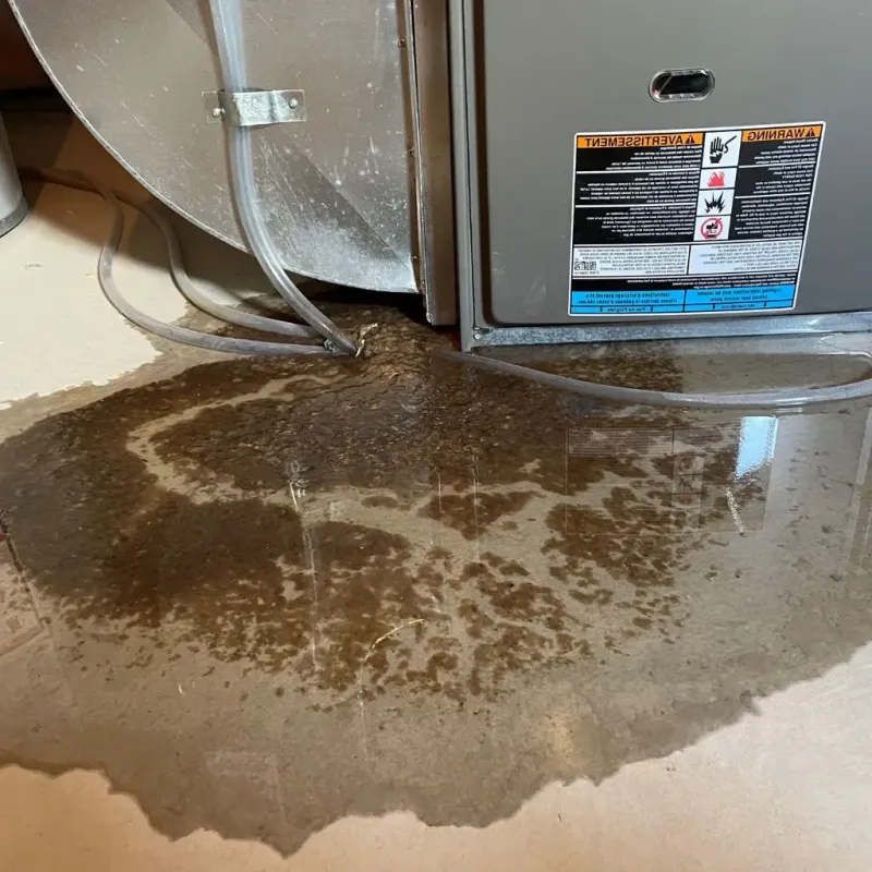 Pipe Burst and Leak Restoration in San Anselmo, CA