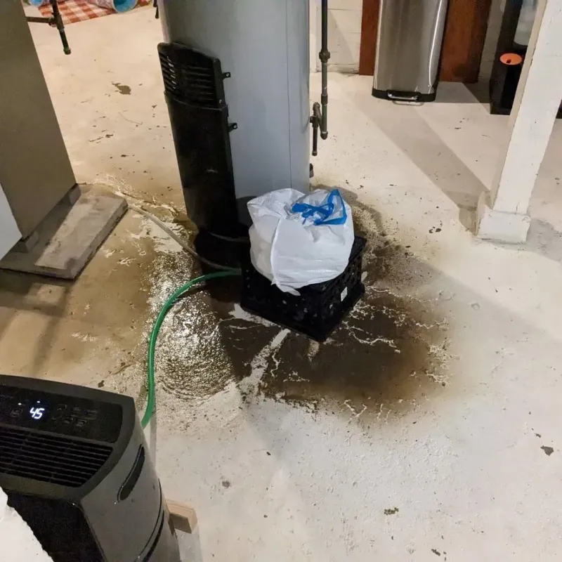 Sewage Backup Cleanup Service in San Anselmo, CA